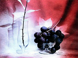 Виноград сушеный