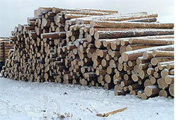 Основные свойства древесины
